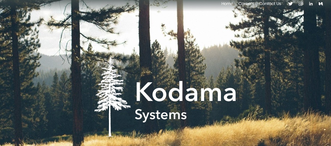 KODAMA SYSTEMS is sponsored by Bill Gates to fell and bury millions of tons of trees. Like other climate companies, Kodama has similarly simple logos and drawings describing their activities, as if they were cast from the same mold. Screenshot: Kodama Systems